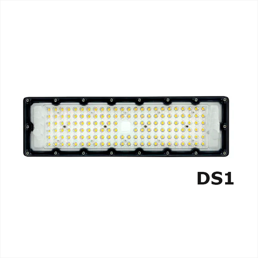 Proyector Tunnel 100 watts DS1